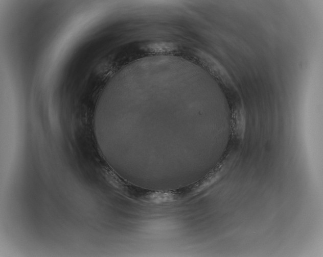 X0000111480762200907210948