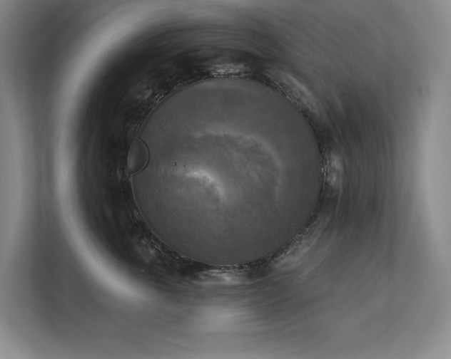 X0000111480763200907210948
