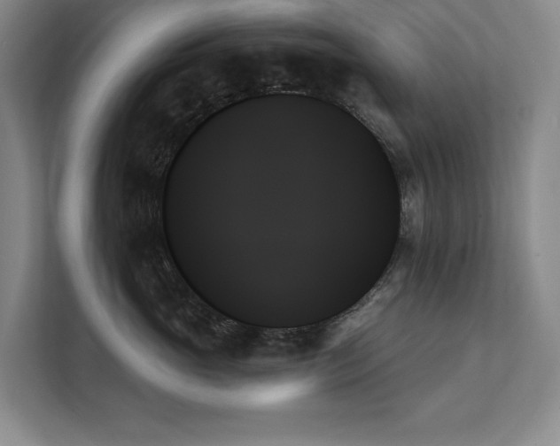 X0000111480765200907210948