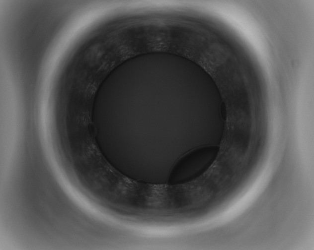 X0000111480766200907210948