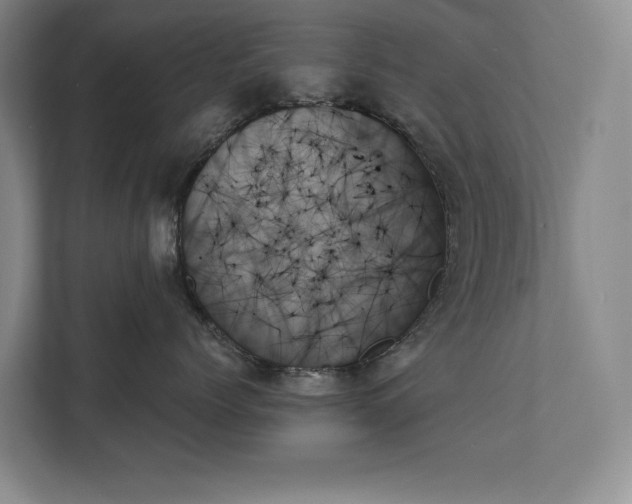 X0000111480768200907210948