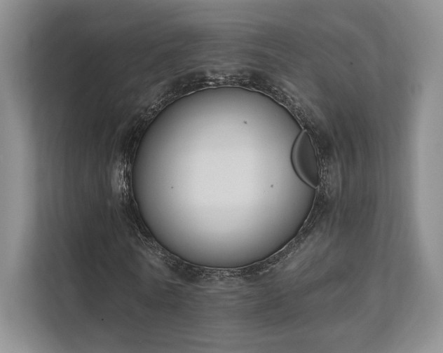 X0000111480770200907210948