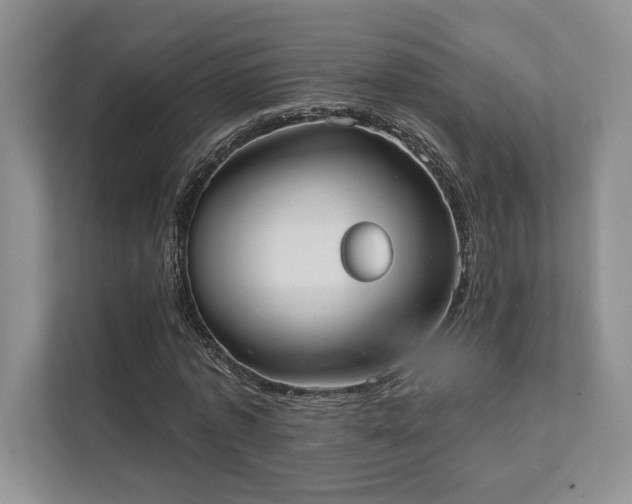 X0000111480773200907210948