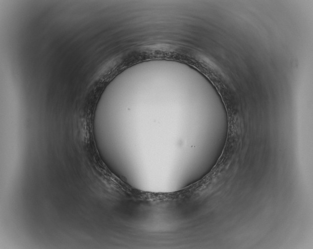 X0000111480774200907210948