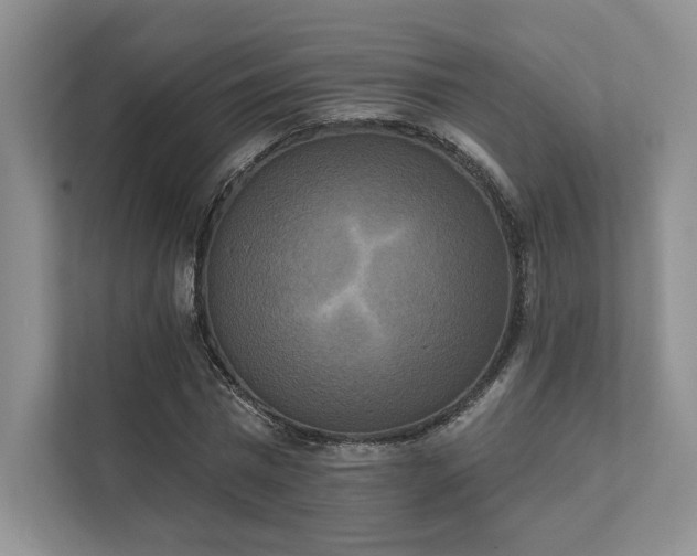 X0000111480777200907210948