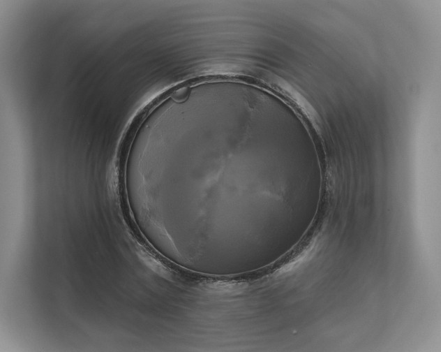 X0000111480779200907210948
