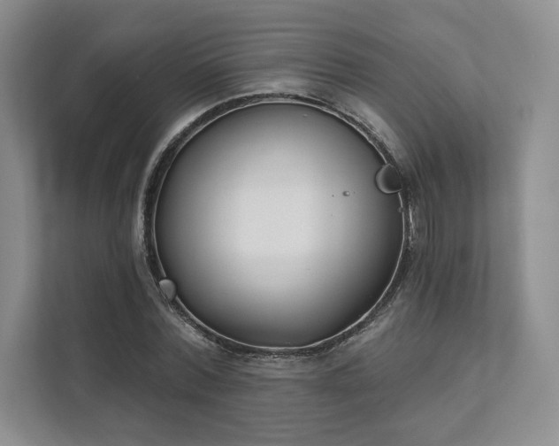 X0000111480780200907210948