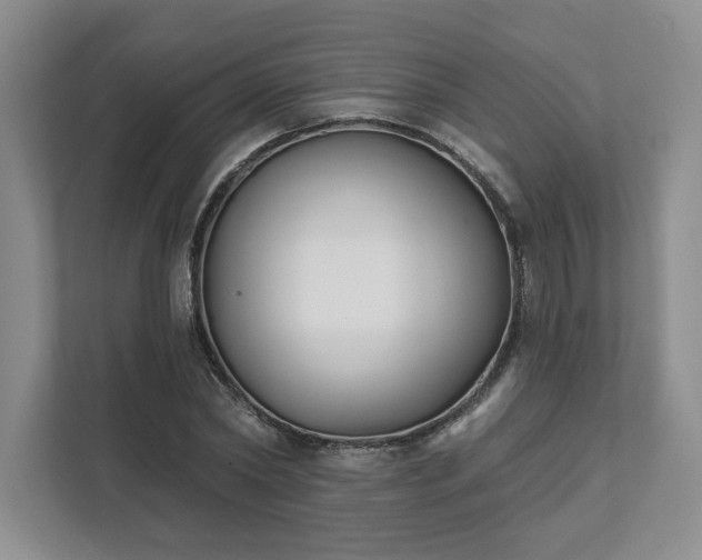 X0000111480782200907210948