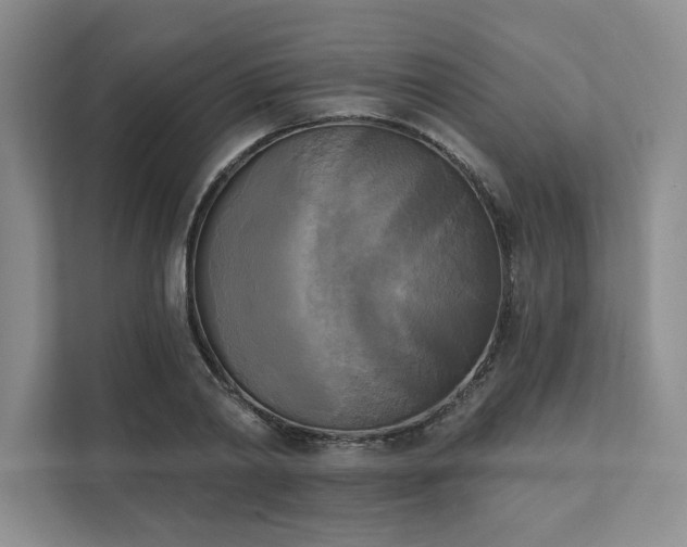 X0000111480790200907210947