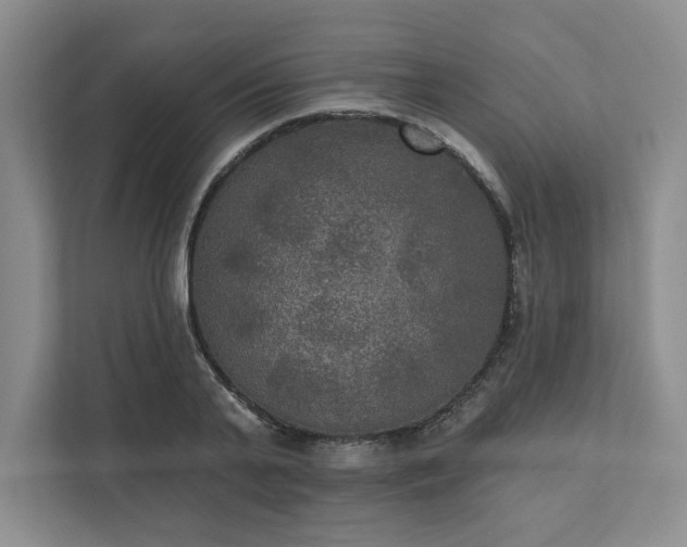 X0000111480791200907210947