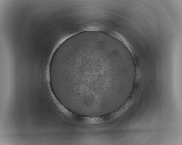 X0000111480795200907210947
