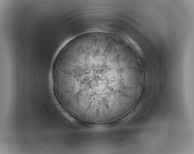 X0000111480796200907210947