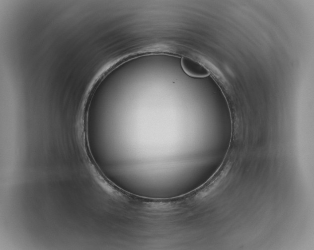 X0000111480800200907210947