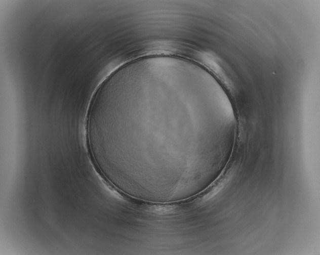 X0000111480802200907210947