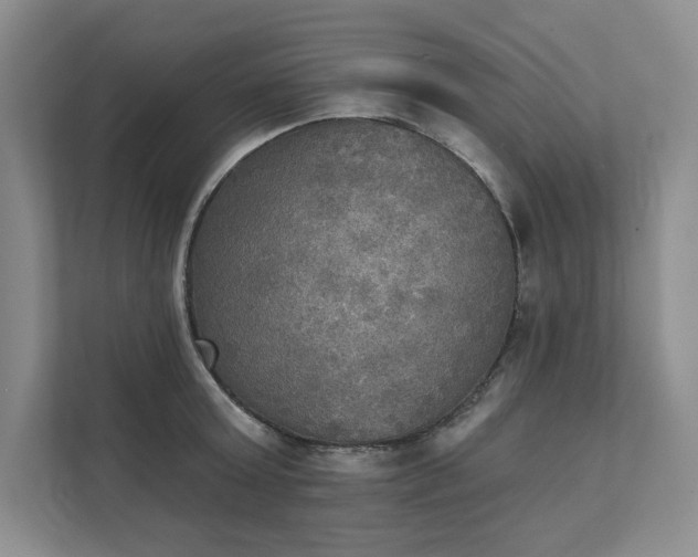 X0000111480803200907210947