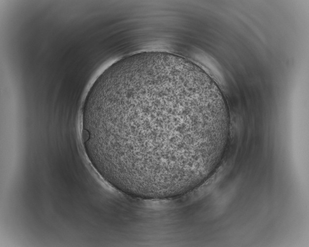 X0000111480804200907210947