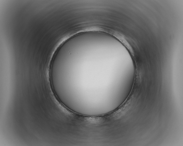X0000111480805200907210947