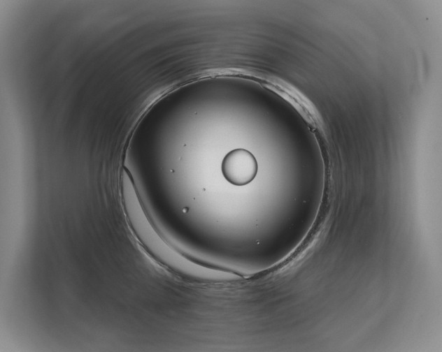 X0000111480809200907210947