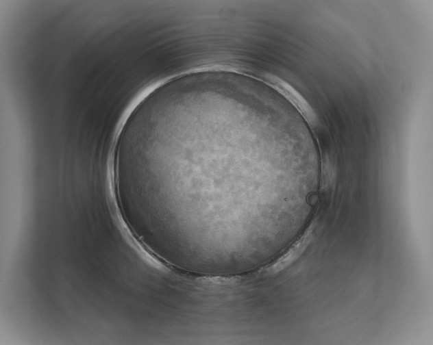 X0000111480812200907210947