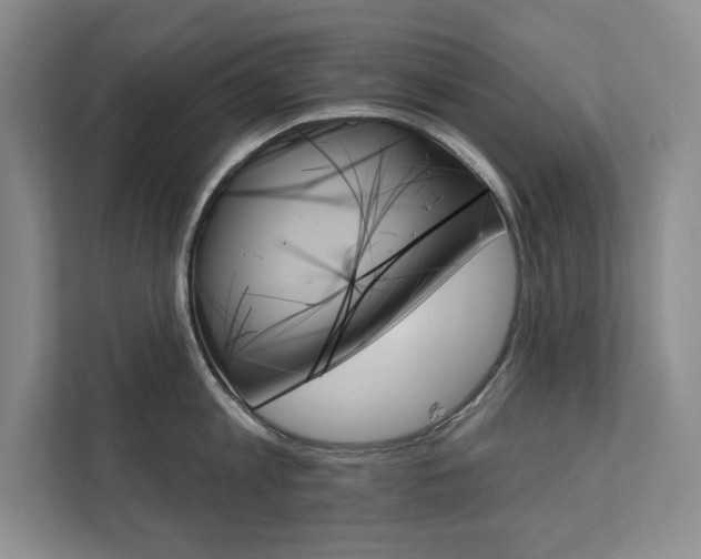 X0000111480813200907210947