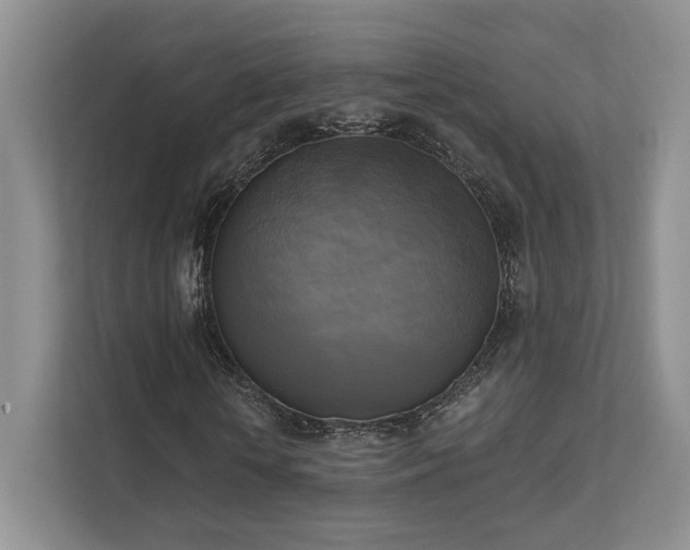 X0000111480818200907210946