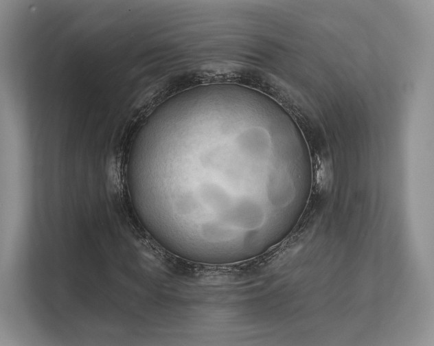 X0000111480819200907210946