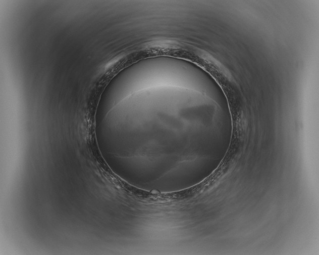 X0000111480822200907210947