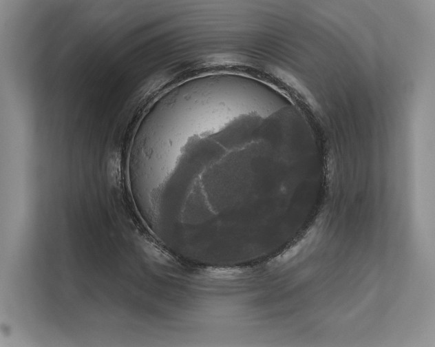 X0000111480825200907210947