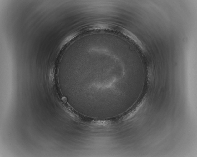 X0000111480826200907210947