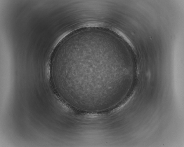 X0000111480829200907210947