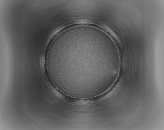 X0000111480831200907210947