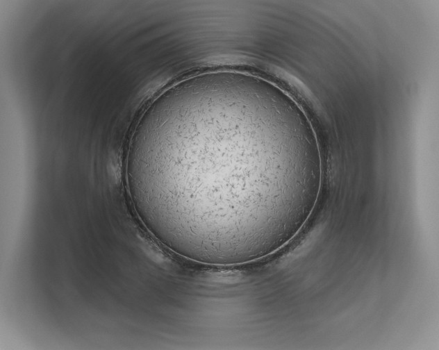 X0000111480833200907210947