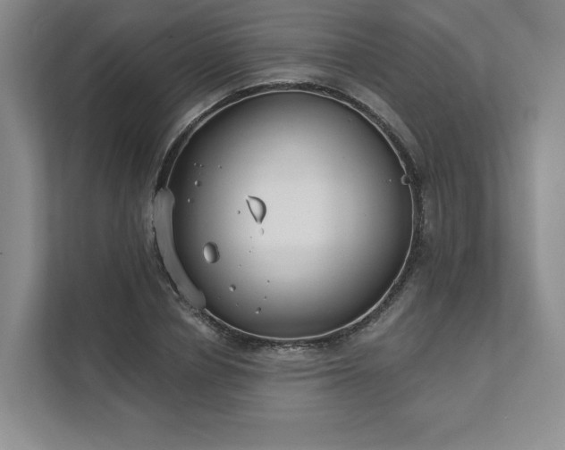 X0000111480834200907210947