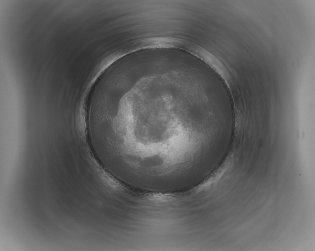 X0000111480835200907210947
