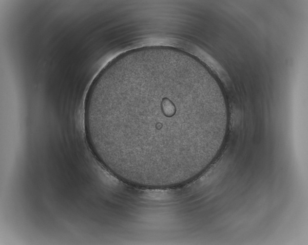 X0000111480836200907210947