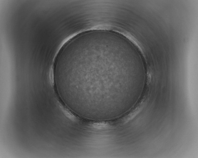 X0000111480838200907210947