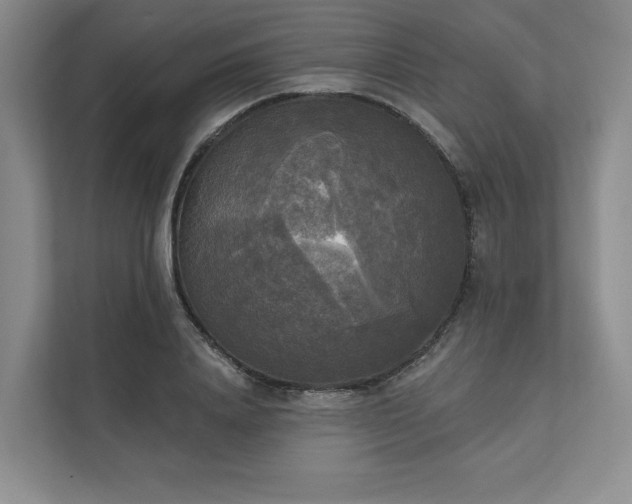 X0000111480840200907210947