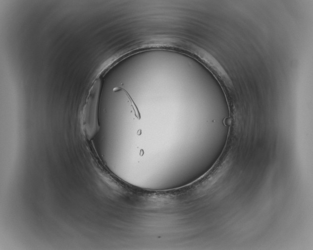 X0000111480842200907210947