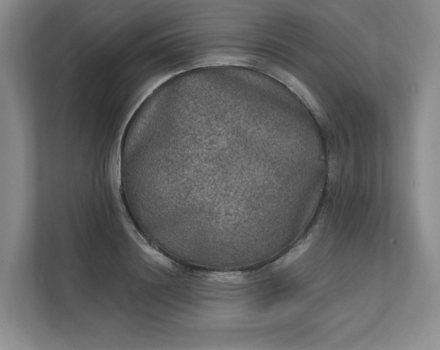 X0000111480844200907210947