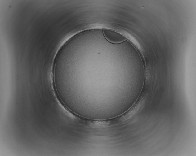 X0000111480847200907210947