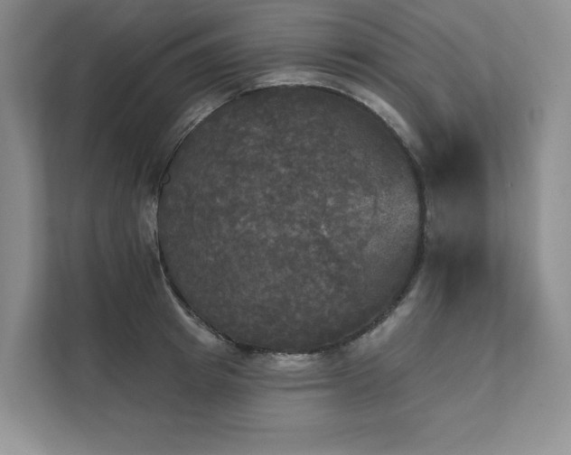 X0000111480849200907210947