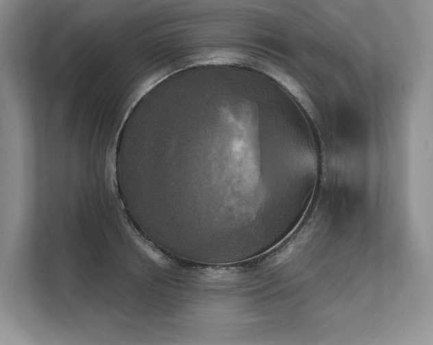 X0000111480850200907210947