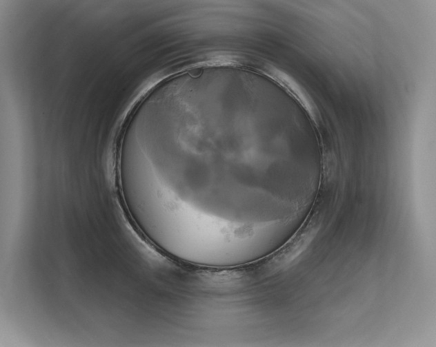 X0000111480851200907210947