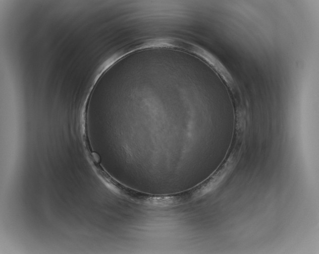 X0000111480858200907210947
