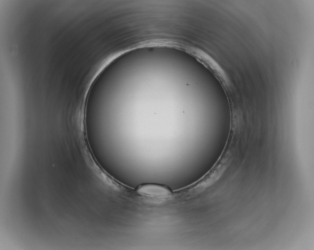 X0000111480860200907210947