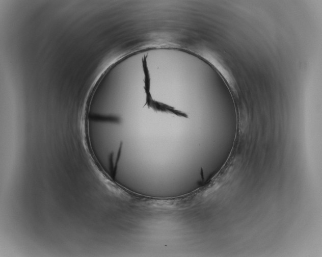 X0000111480861200907210947