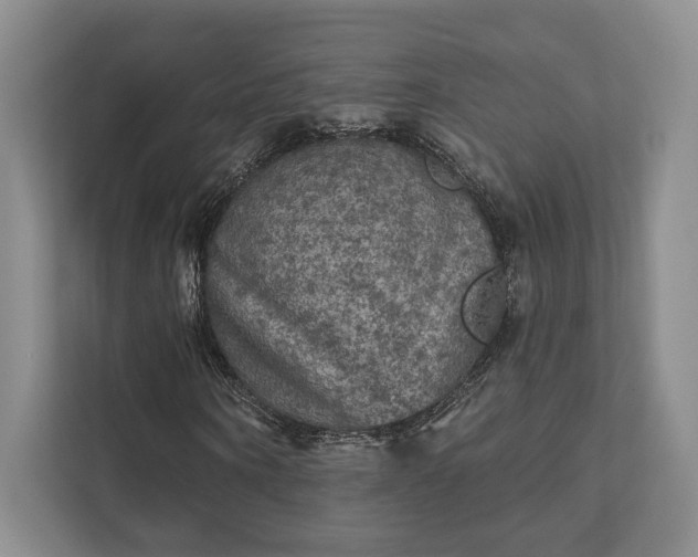 X0000111480866200907210946
