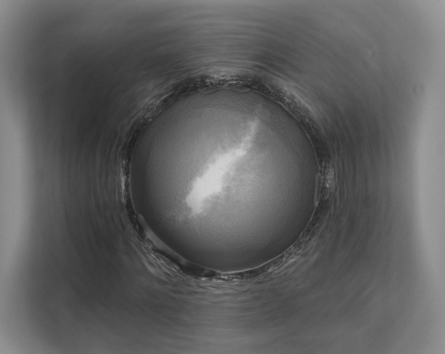 X0000111480868200907210946