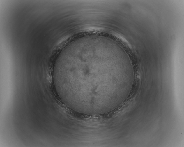 X0000111480869200907210946