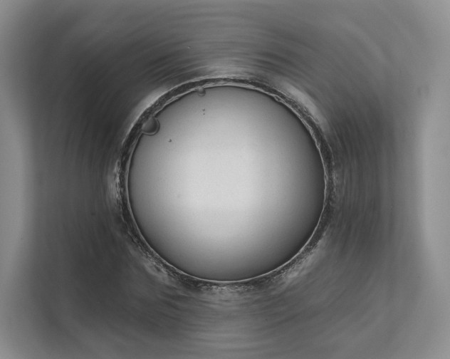 X0000111480875200907210946